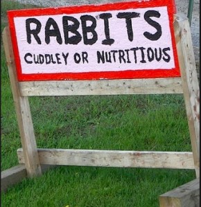 Tellin' it like it is...