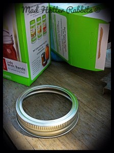 Canning lids are a favorite toy around here.