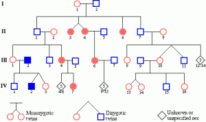 Pedigree Punnitt Square