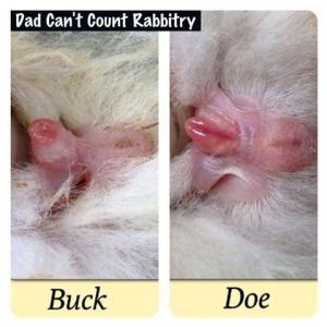 1459159_467610133360598_2044988860_n