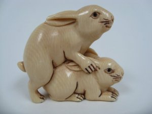 Bunnies mating. Artistically.