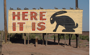 Asking the right questions is the first step to locating great foundation stock.