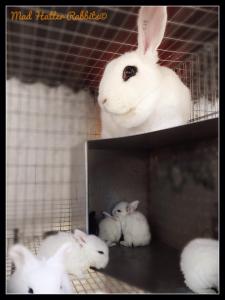 1796485_510961445692133_856498497_n