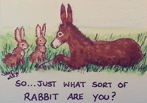 rabbit-are-you-aceo