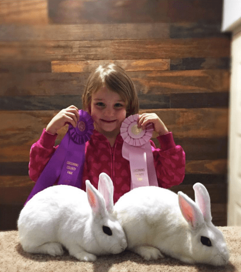 Screen Shot 2015-11-05 at 3.08.12 PM