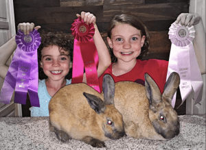 Screen Shot 2015-11-05 at 3.08.26 PM